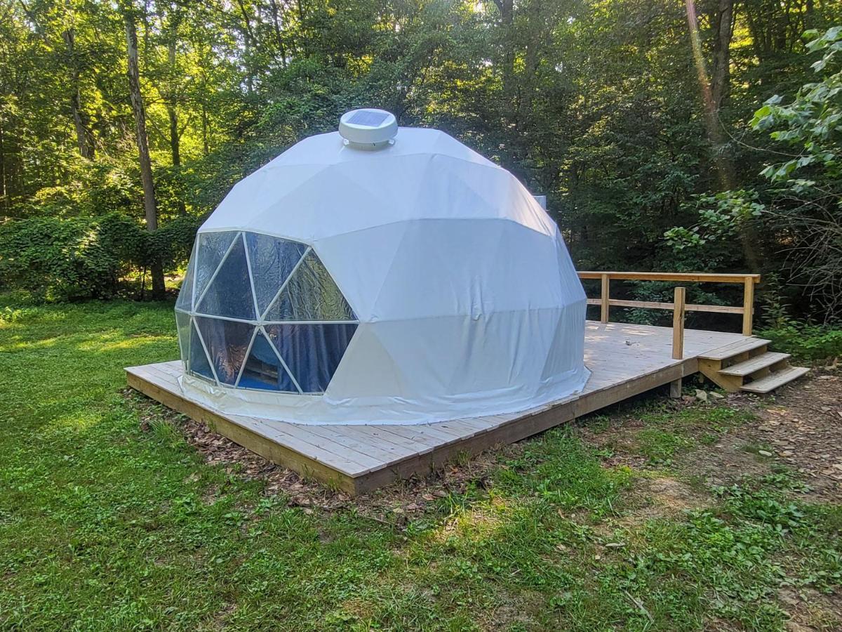 Harmony Tree Resorts Inc Nashville Eksteriør bilde