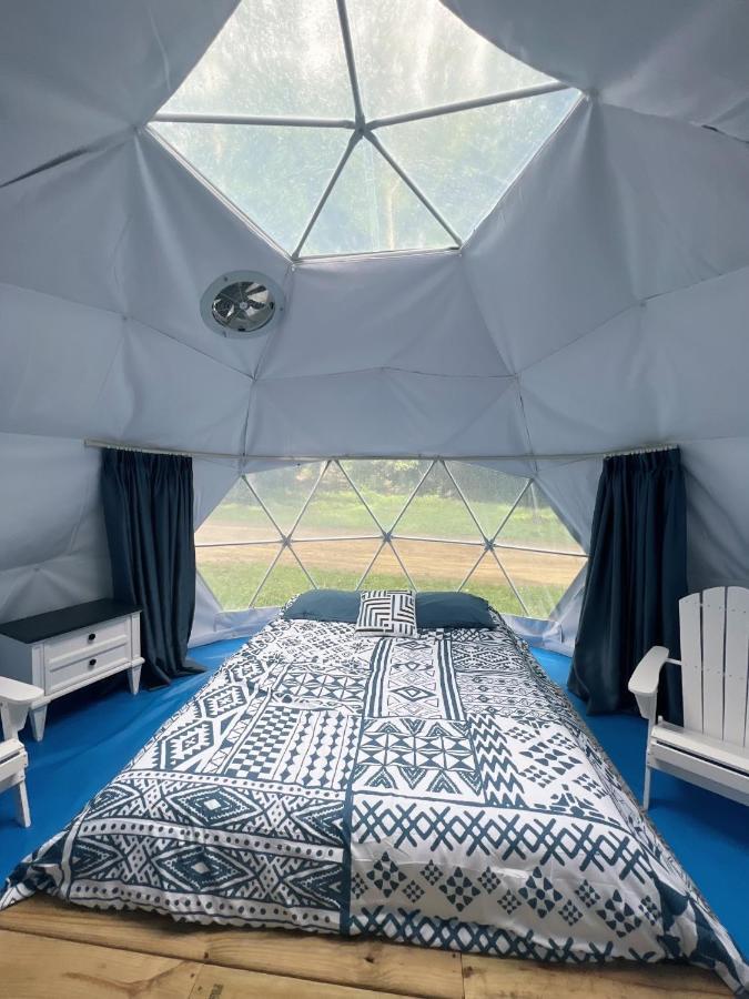 Harmony Tree Resorts Inc Nashville Eksteriør bilde